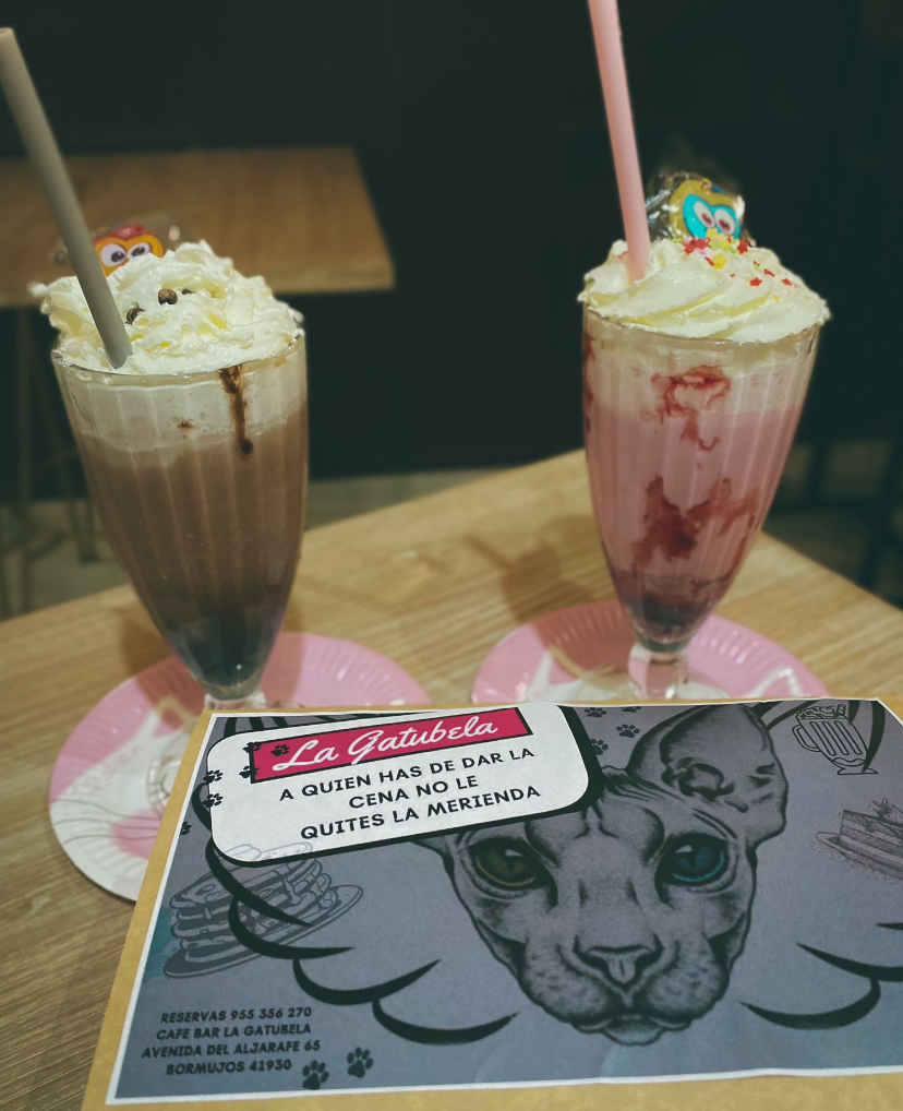 Bebidas 5