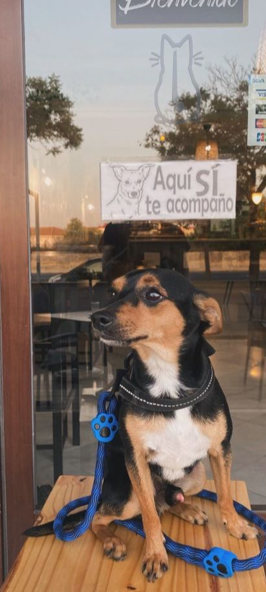 Foto animales 1